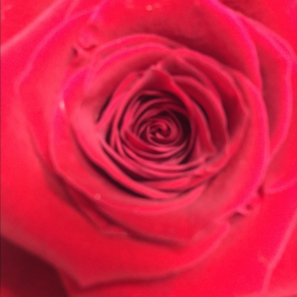 Meet your Posher, Michelle